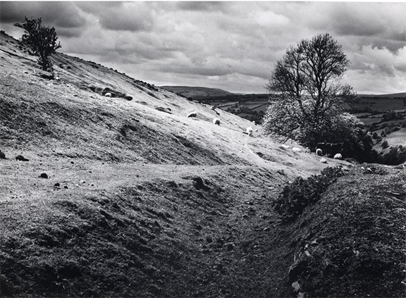 Фэй Годвин | Fay Godwin