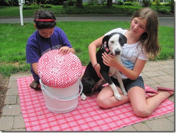picnic bucket