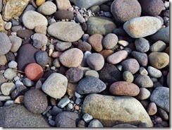 DSCF1595