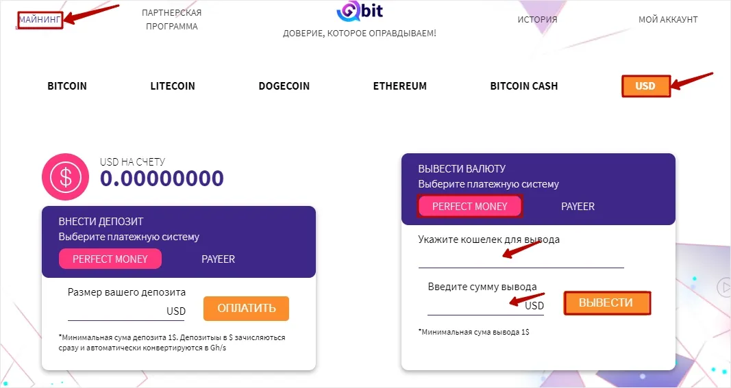 Вывод средств в G-bit