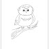 15   Coloring Pages Of Animals that Hibernate