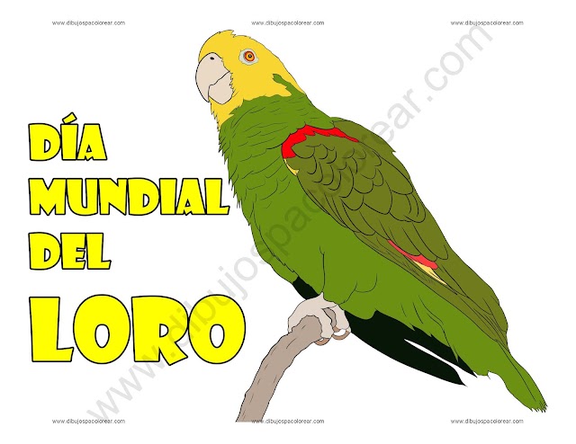 Día Mundial del Loro dibujo a color y para colorear