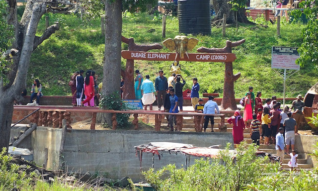 Dubare Elephant Camp, Dubare, Coorg