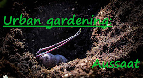 http://www.amor-und-kartoffelsack.de/2017/04/urban-gardening-aussaat-der-kartoffeln.html