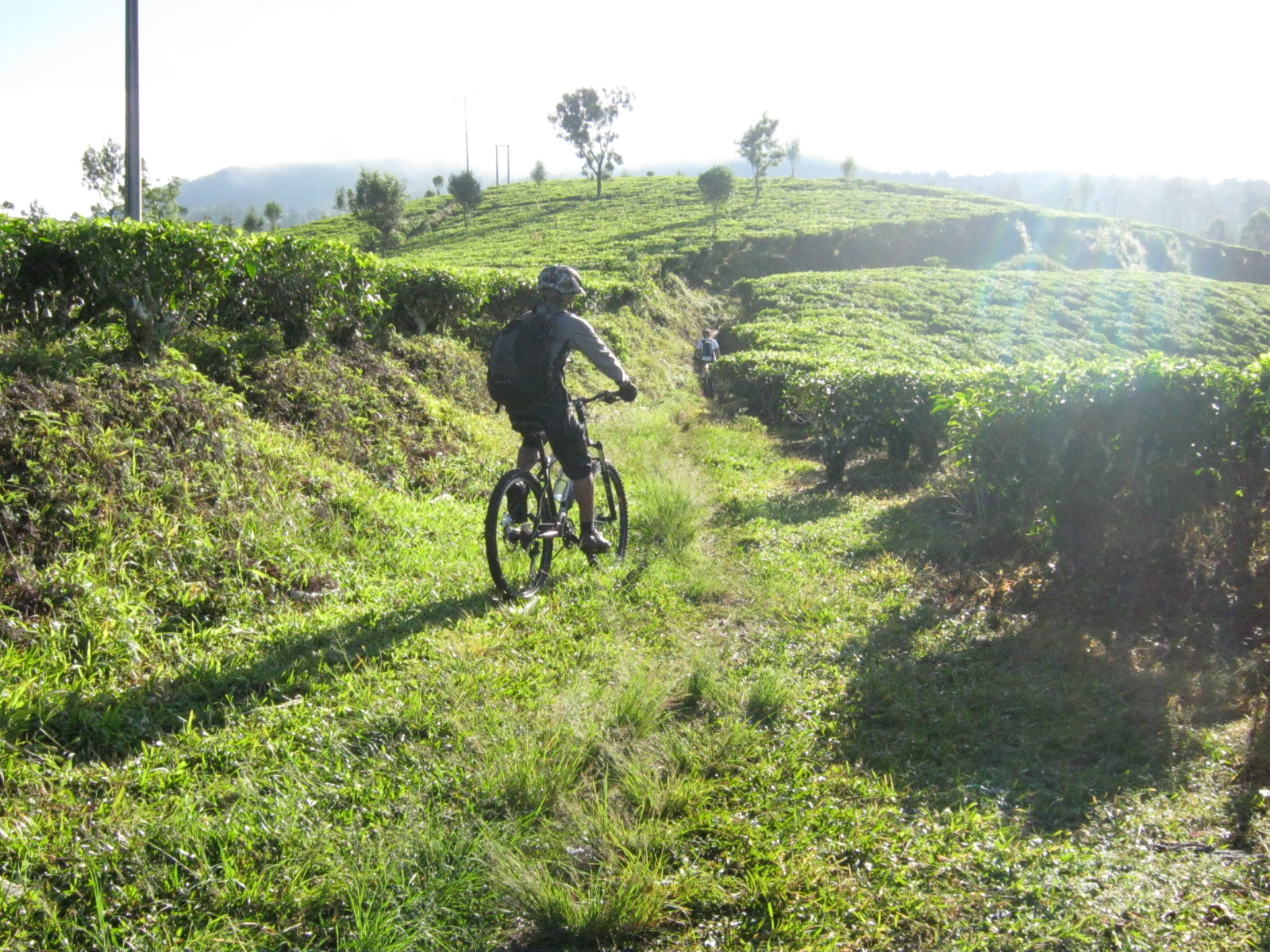 MAKIMOUNT: PUNCAK TANGKUBAN