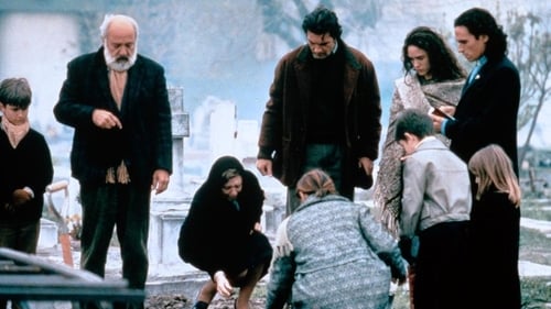 D'amour et d'ombres 1994 dvdrip
