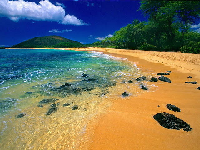 hawaii beach