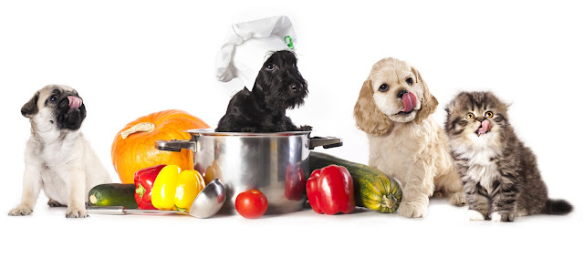 Animal Nutrition Market