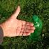 Plastic Bottle Watering 'Can'.
