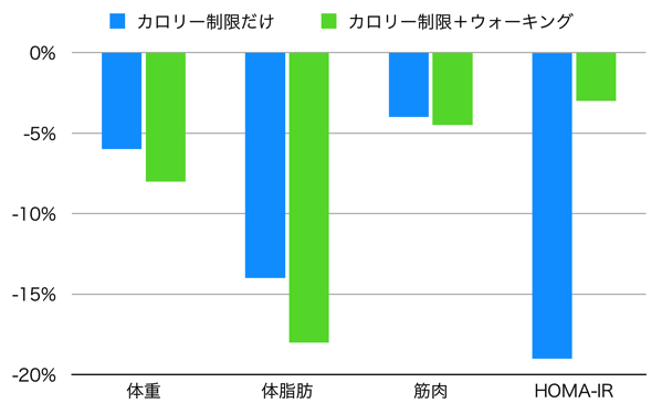 カロリー制限をするときは早歩きを組み合わせると体脂肪が減りやすくなるよ パレオな男