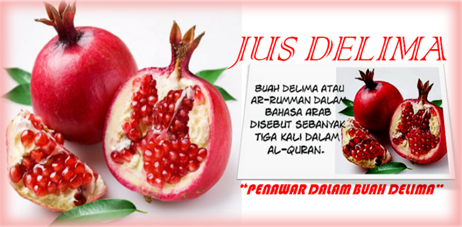 Jus Delima Pilihanku: Khasiat