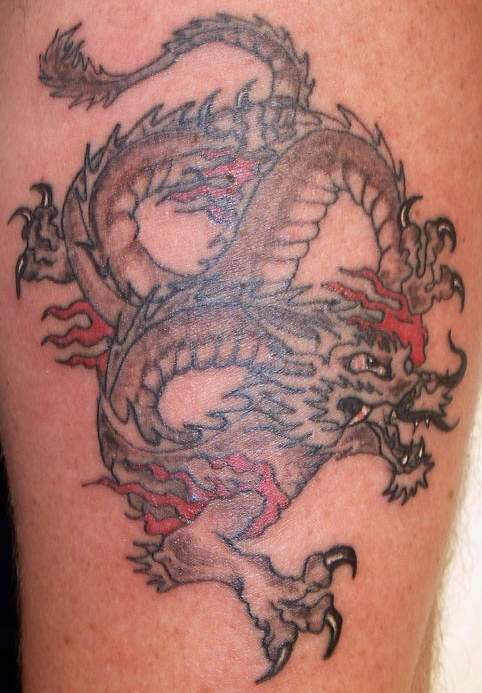 Dragon Tattoos Collection