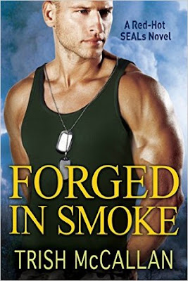 Bea's Book Nook, Review, Forged in Smoke, Trish McCallan 