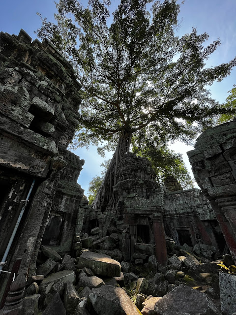 Siem Reap, Kamboçya, Asya, Güneydoğu asya, Ta Prohm, linga, khmer, kimer, tonle sap, bayon, şelale, asya şelaleleri, angkor wat, angkor, angkor thom, bayon, bayon temple, budizm, hinduizm, kamboçyada gezilecek yerler, kamboçya turları, asya turu, asya seyahati, rambutan, seyahat, blog, gezilecek yerler, tomb raider, angelina jolie,