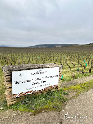 idée pour virée Bourgogne