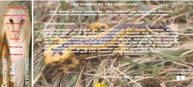 http://www.ceiploreto.es/sugerencias/juntadeandalucia/la_tierra/vertebrados/indexvertebrados.html