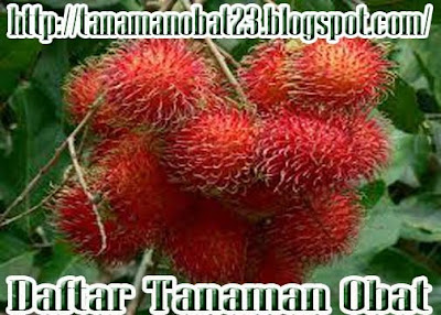 Rambutan (Nephelium lappaceum) 