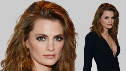 Stana Katic Hyper Star Hd Wallpapers