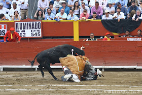 tombo caballo santiago reyes yaco II acho 2019 corrida toros picador torero caida toro