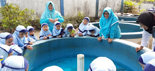 Field Trip Teman Kecil TKIT Darul Mukmin: Kenalkan Budidaya Ikan Sejak Dini