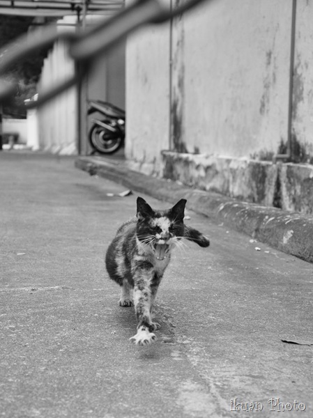 DSC_0142