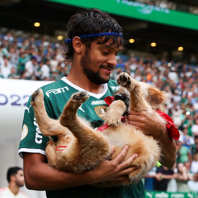 Palmeiras entra em campo carregando cães de abrigo para incentivar adoção responsável de animais.