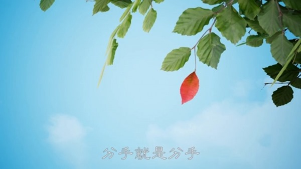 clip_image005