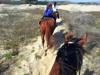 Chumash shell hills are seen from horseback as we travel through the dunes