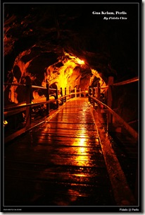 perlis63