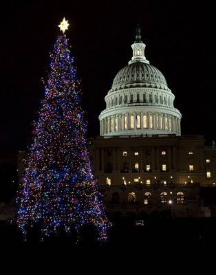 Cities Decorated With Lights Christmas Celebrations