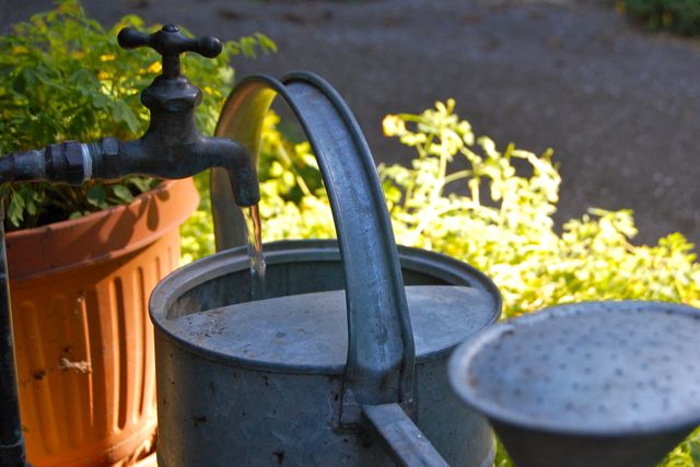 Toronto Gardens: A water feature for small gardens