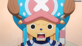 ワンピースアニメ 1035話 チョッパー Tony Tony Chopper | ONE PIECE Episode 1035