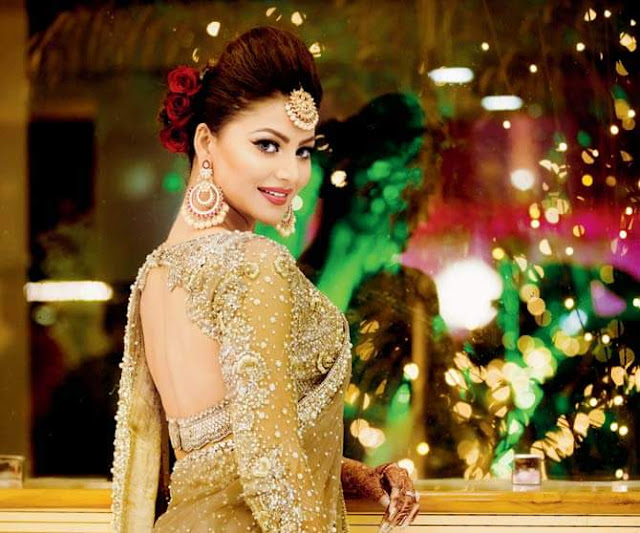 Urvashi Rautela glamorous photos in saree  