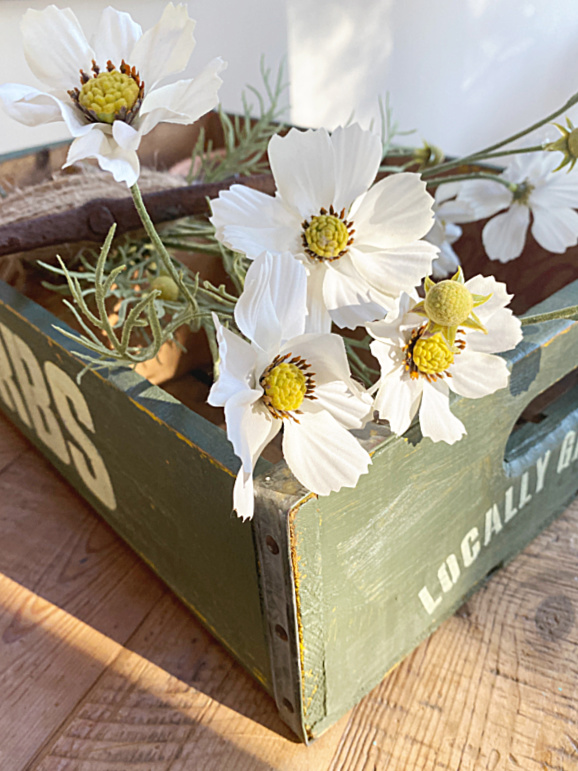 flowers in wooden crate with sunshine