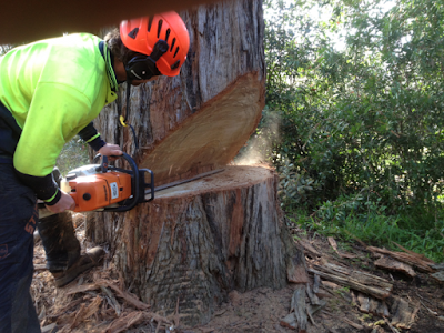 Stump Removal Melbourne