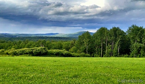 1. 6-29-15 the western mountains of Maine