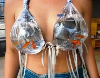 goldfish bra