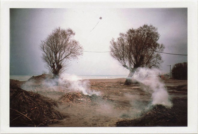 dirty photos - time - cretan landscape photo of fallen tree