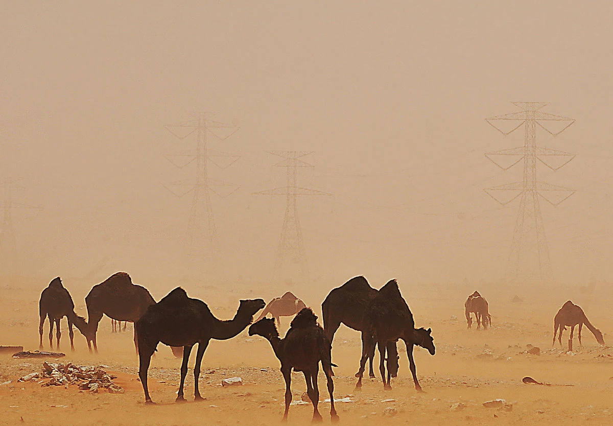Saudi-Hosted MENA Climate Week: Fostering Regional Momentum for Climate Change Mitigation