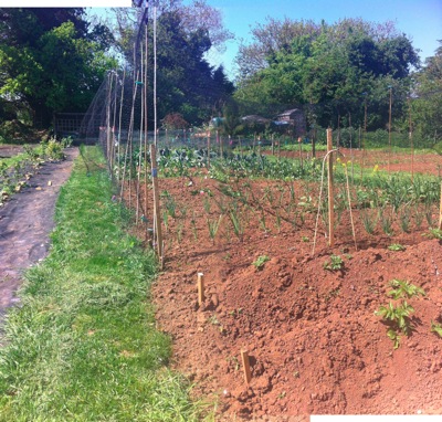 Allotment Wardington UK 2
