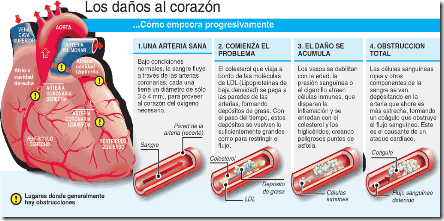 danoalcorazon