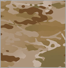 multicam-arid
