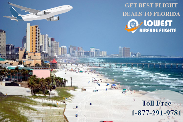 Flight Deals to Florida