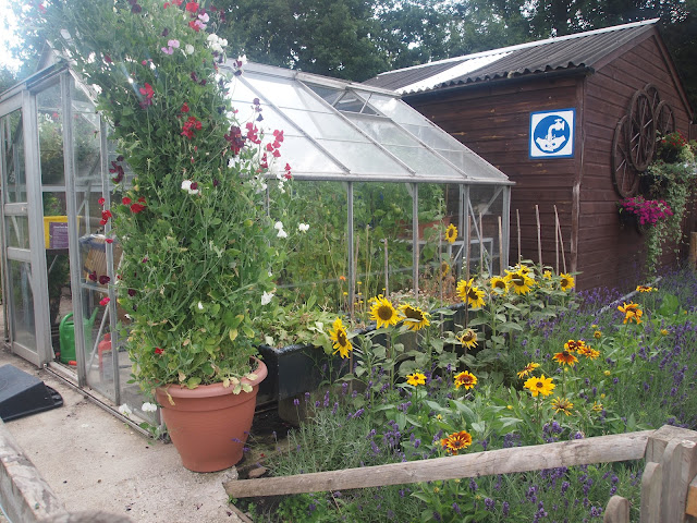 Godstone Farm, Surrey Review - potting shed/greenhouse