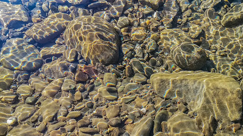 Bee killing pesticides polluting the vast majority of English rivers
