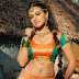 Telugu Actress Sana Khan Hot Sexy Naval Photo Gallery!