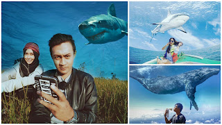 Video Cara Edit Ikan Paus di Atas Langit ala Video Clip Up & Up (PicsArt)