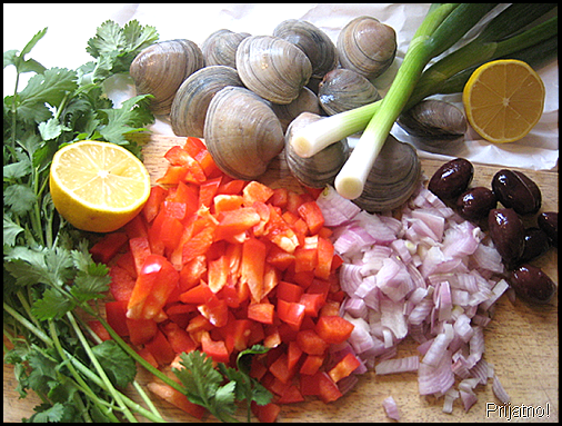 clams1