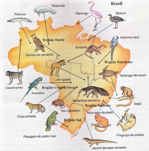 mapa do brasil por regioes. Postado por Marcos Laska