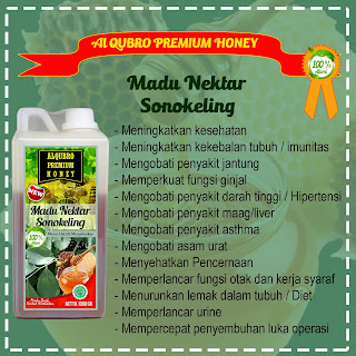 Jual Madu Al Qubro Premium Sonokeling Pusat Madu Al Qubro